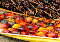 (RSPO Rules on Market Communications & Claims)