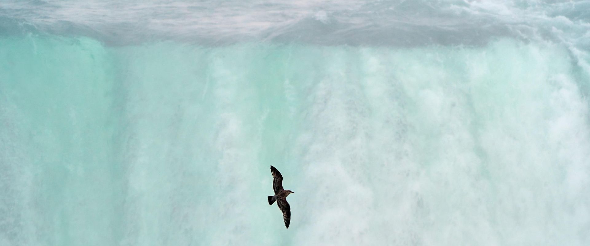 14001. ISO – certyfikat środowiskowy, który kreuje odpowiedzialność