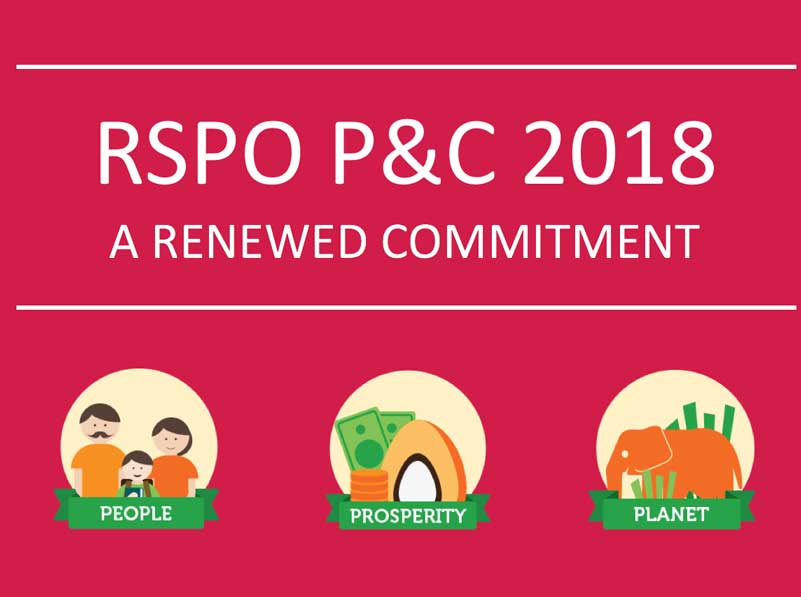 Zaostrzenie wymogów w standardzie zrównoważonej uprawy oleju palmowego- RSPO